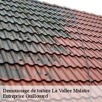 demoussage-de-toiture