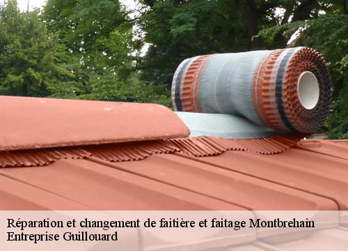 reparation-et-changement-de-faitiere-et-faitage